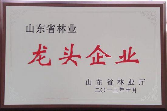 山東省林業(yè)龍頭企業(yè)