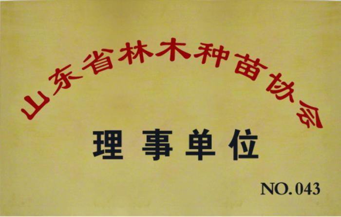山東省林木種苗協(xié)會(huì)理事單位