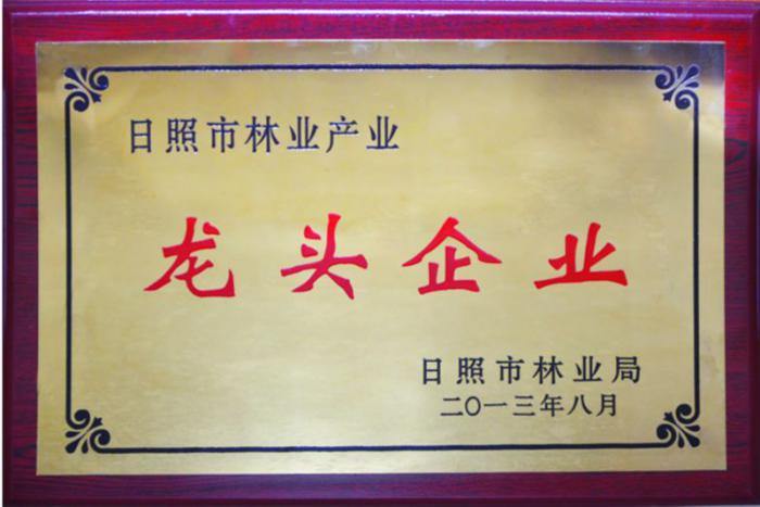 日照市林業(yè)產(chǎn)業(yè)龍頭企業(yè)