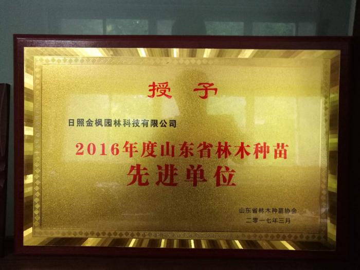 山東省林木種苗先進(jìn)單位