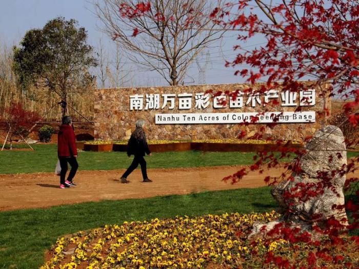 產(chǎn)業(yè)園基地